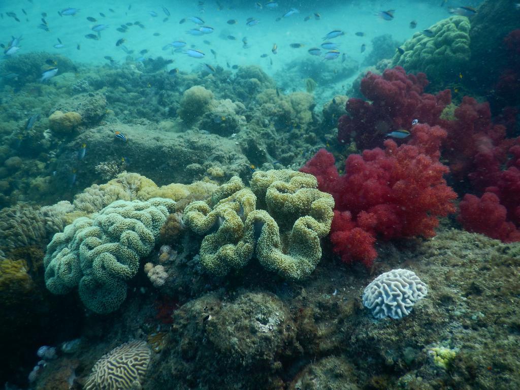 Great Keppel Island Holiday Village ภายนอก รูปภาพ